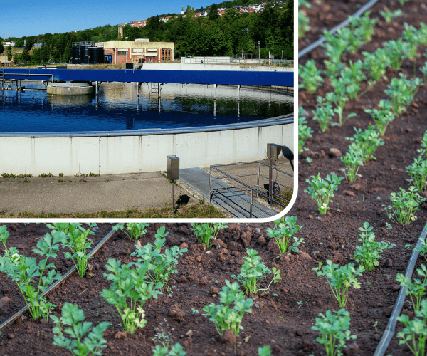 water_treatment_irrigation